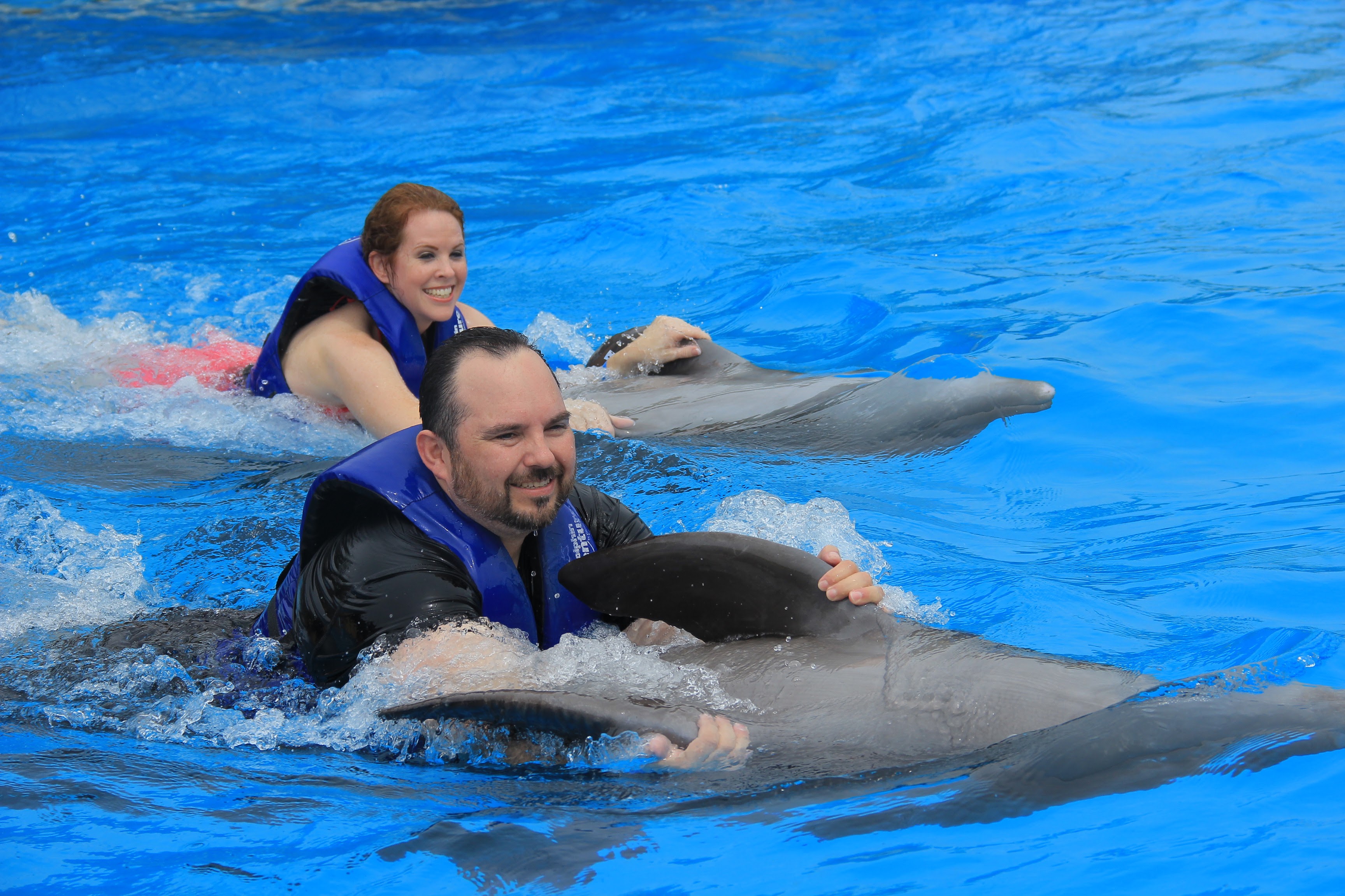 Frank and Shannon Gurnee Dolphins Puerto Vallarta Mexico About Us 