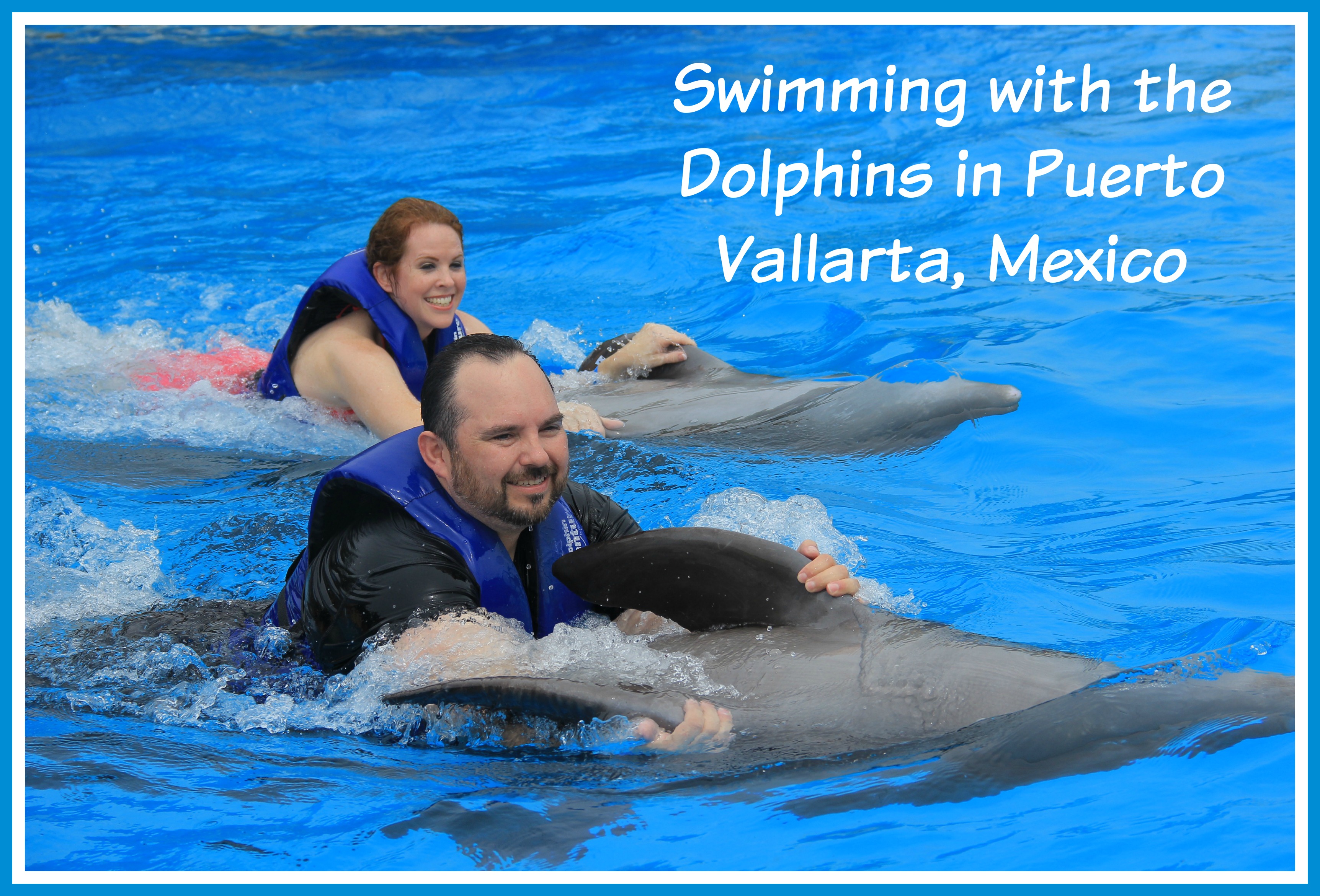 #PuertoVallarta #DolphinSwim #Travel #Honeymoon #Wedding #Carnival #FrankAndShannon