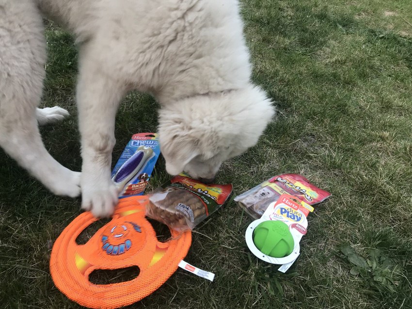 Harts Doggy Toys Pyrenees #Pyrenees #dogs #puppies #toys #ad
