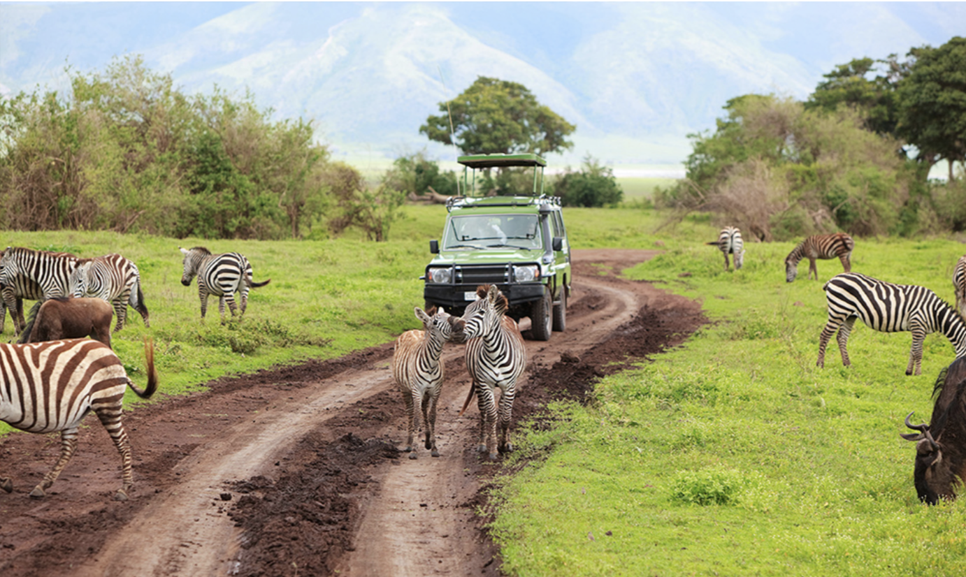 African Safari #Safari #Africa #AfricanSafari #travel #ad