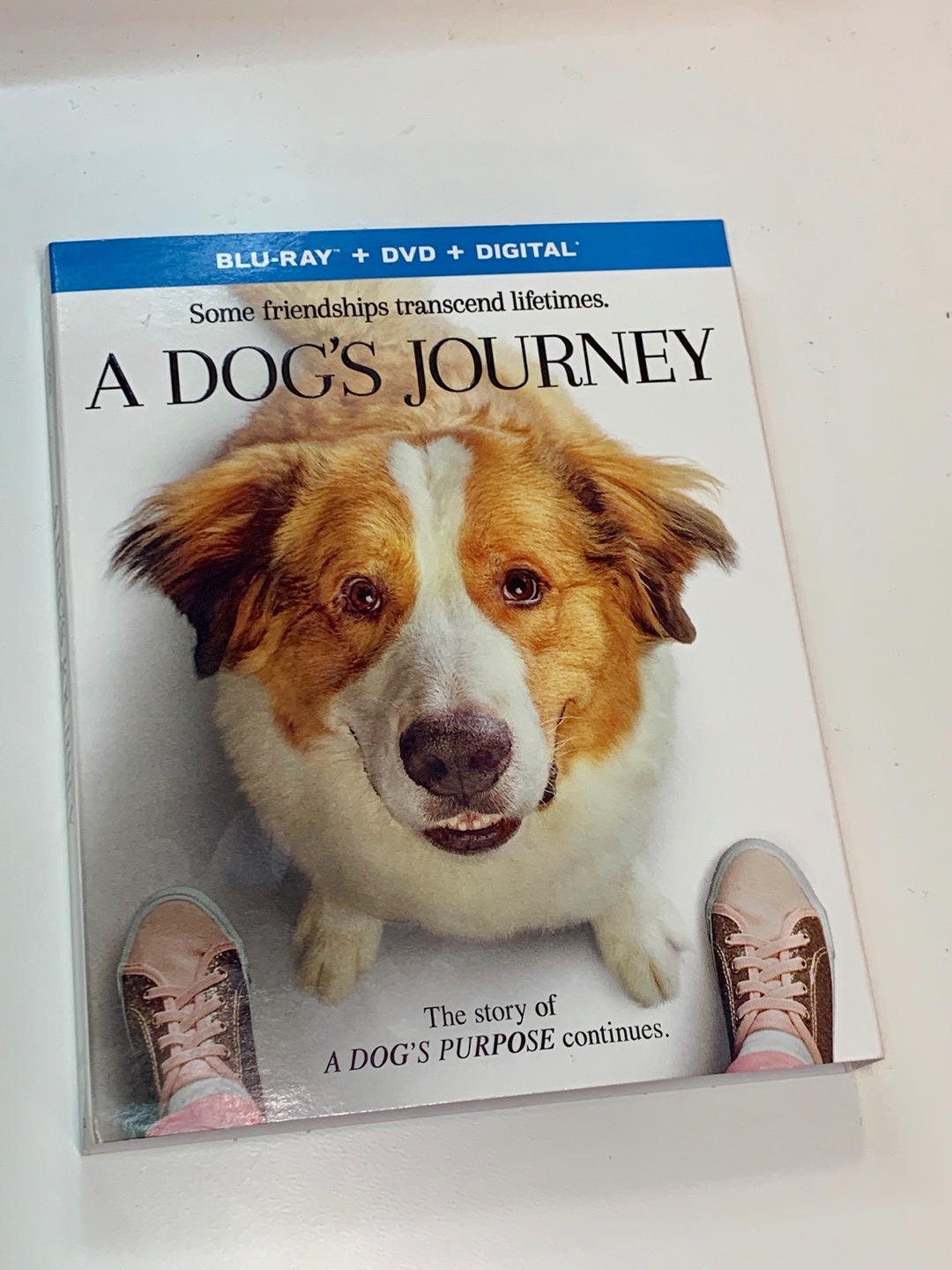 A Dog's Journey Movie